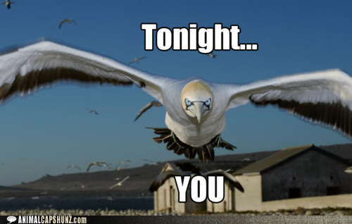 But Aren't You Diurnal?