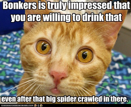 Bonkers is truly impressed that you are willing to drink that