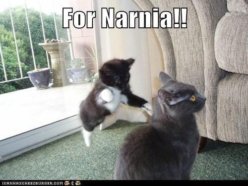For Narnia!!