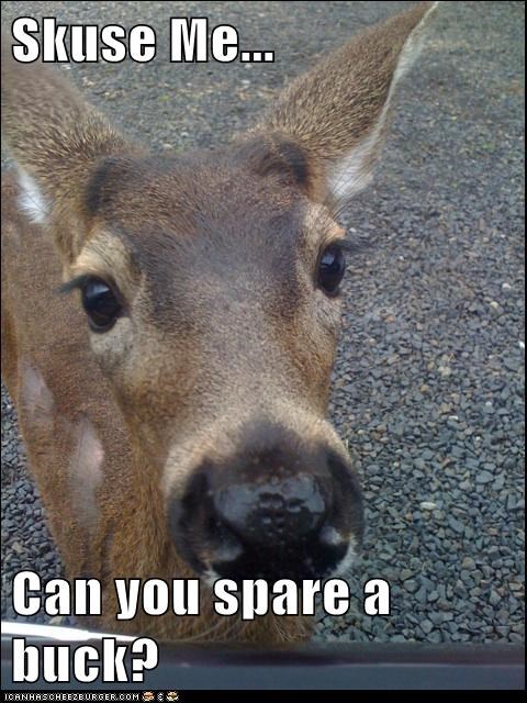Skuse Me...  Can you spare a buck?