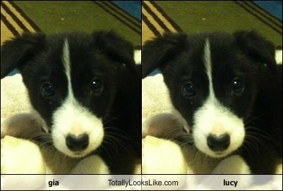 gia Totally Looks Like lucy