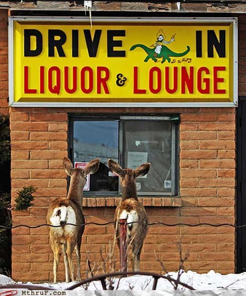Deers On Tap
