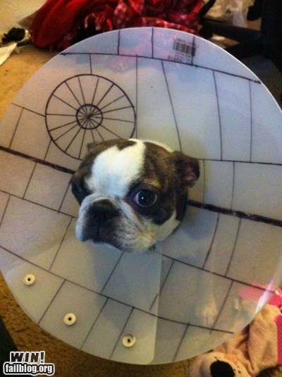 Cone WIN