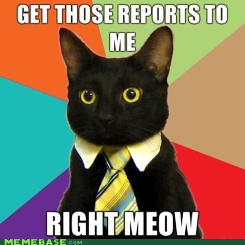 MEME MADNESS: Business Cat's Board Meeting