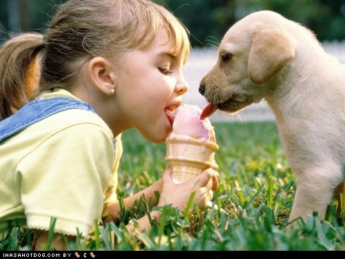 Cyoot Puppy ob teh Day: Sharing is Caring