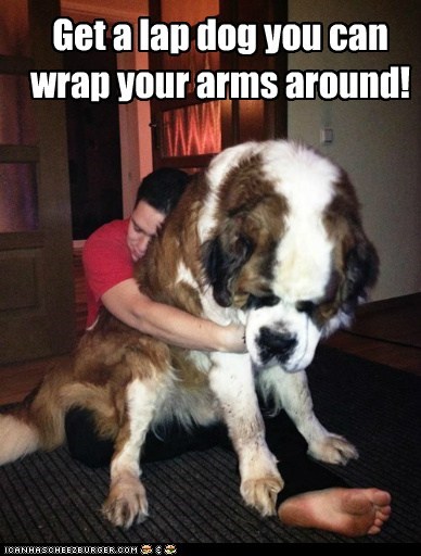 I Has A Hotdog: I always say...