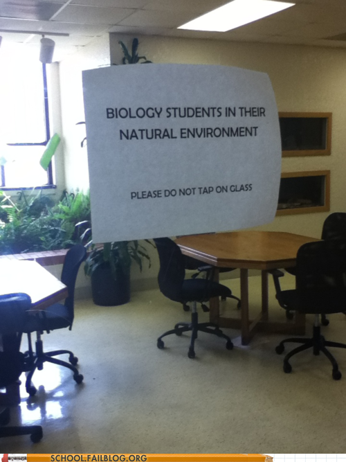Don't Feed the Animals--I Mean Bio Students. 