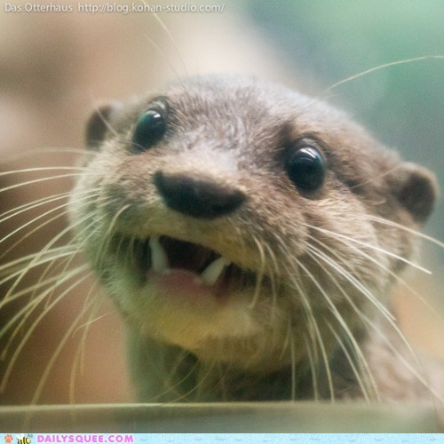 Daily Squee: THAT FACE!!!