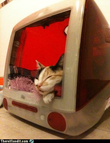 Mac OS: House Cat
