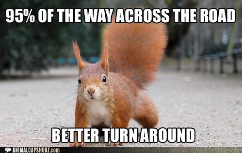Squirrel Logic