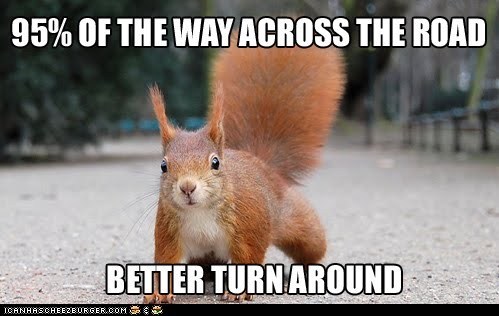 Squirrel Logic