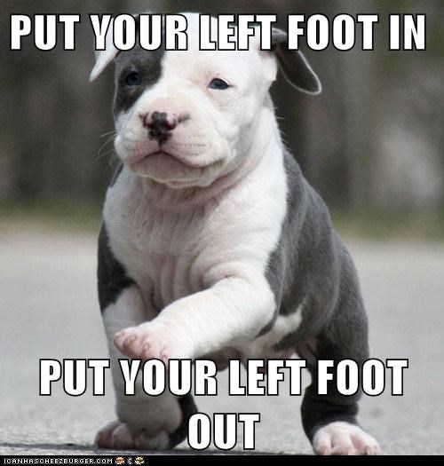 I Has A Hotdog: PUT YOUR LEFT FOOT IN