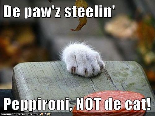 De paw'z steelin'   Peppironi, NOT de cat!