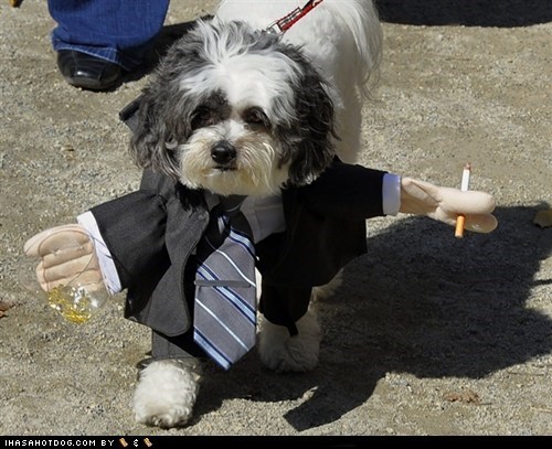 I Has A Hotdog: Mad Dogs - Don Draper 