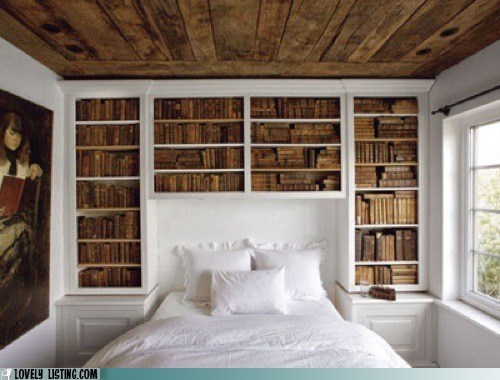 Your Daily Bookcase: The Right Idea