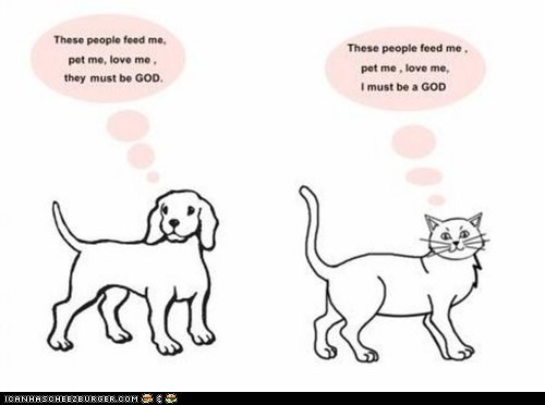 An Oldie But a Goodie: Cats vs. Dogs