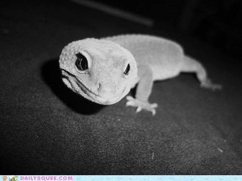 Reader Squees: My Buddy Calvin