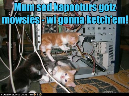 Mum sed kapooturs gotz mowsies - wi gonna ketch'em!