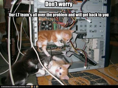 Lolcats: Don't worry