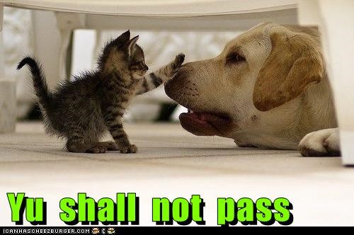 Yu  shall  not  pass