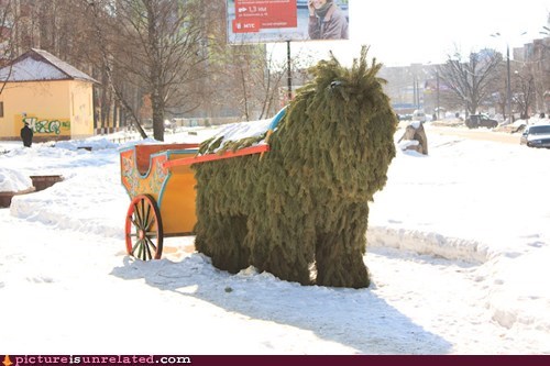 Pine Horse