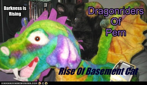 Rise Of Basement Cat