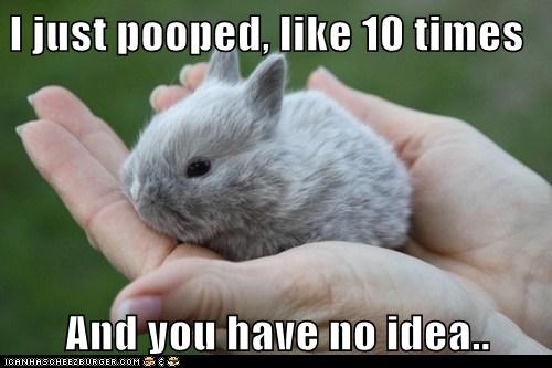 Did You Think Those Were Easter Eggs?