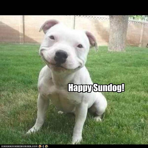 Everybody Smile it's Sundog!