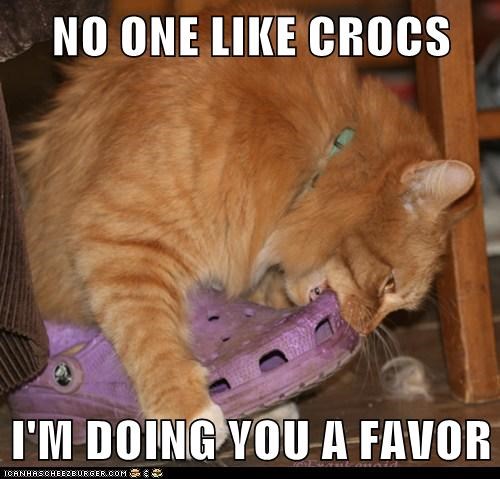 Lolcats: I'M DOING YOU A FAVOR