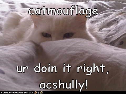 catmouflage  ur doin it right, acshully!
