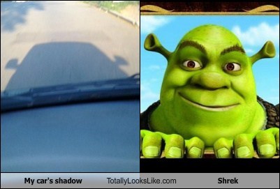 My car's shadow Totally Looks Like Shrek