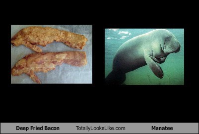 Deep Fried Bacon Totally Looks Like Manatee