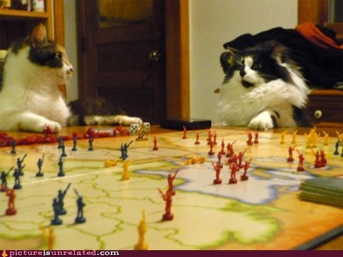 Australia Is Mine, Mr. Whiskers