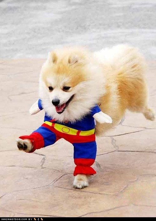 Super Goggie! 