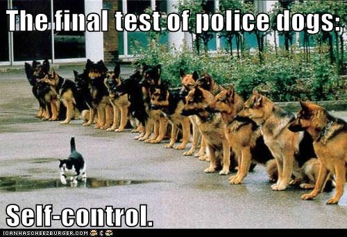 They All Pass