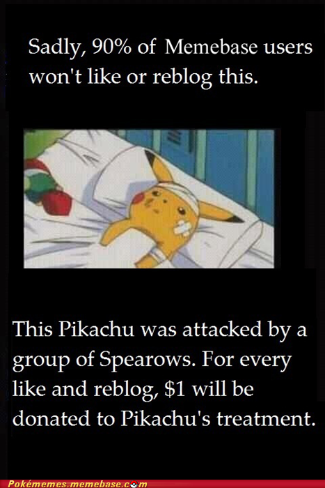 Pikachu Would Never Leave Your Side