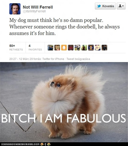 You're So Popular, Dawg!