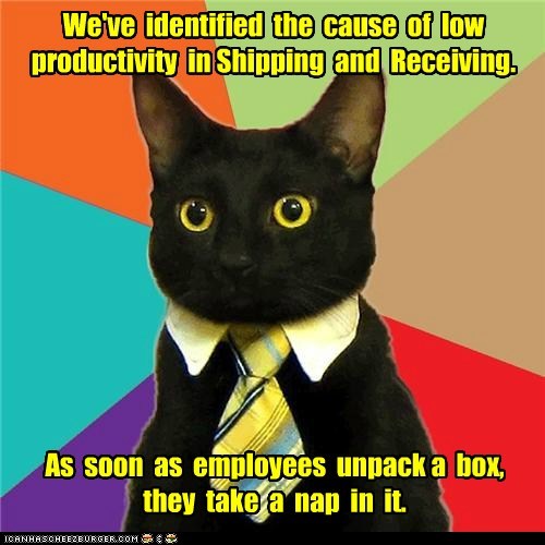 Animal Memes: Business Cat - They Deserve a Raise
