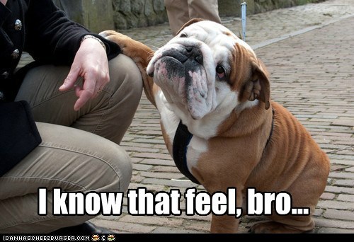 I know that feel, bro...