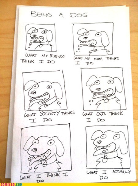Just Being a Dog