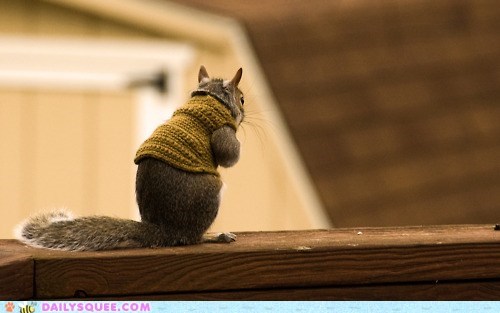 It's Chilly Out There
