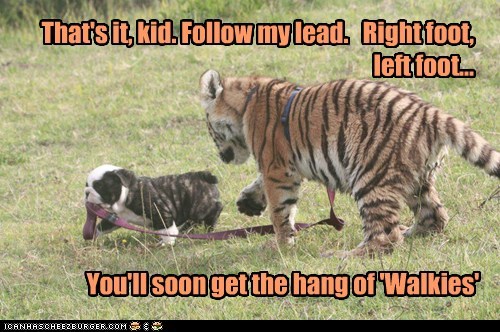Lessons From the Master