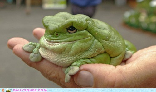 Creepicute: Ribbit Blorp