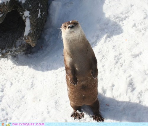 Squee Spree: Upright Gentleman