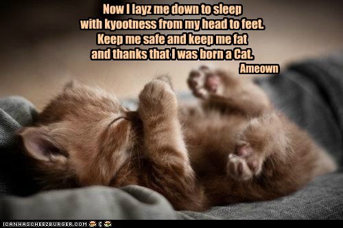 Now I layz me down to sleep
with kyootness from my head to feet.
Keep me safe and keep me fat
and thanks that I was born a Cat.