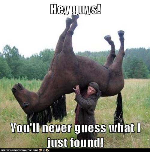 Hey Guys!