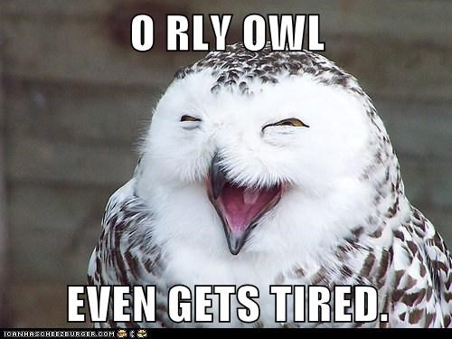 O RLY OWL  EVEN GETS TIRED.