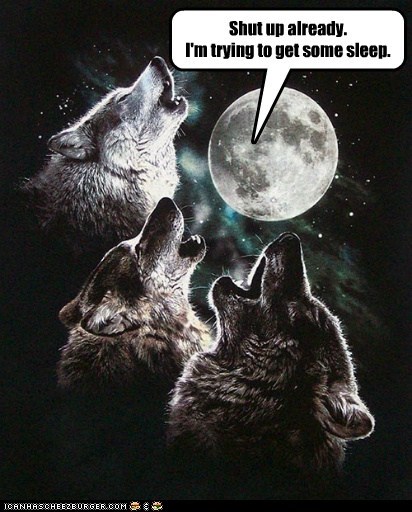 And Stop Putting Me on Shirts