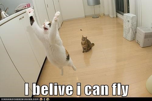 I belive i can fly