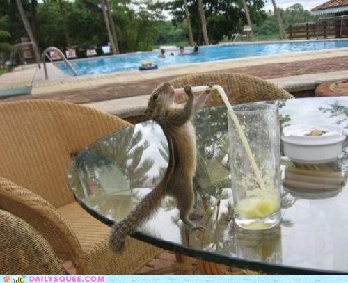 Just a Little Sip